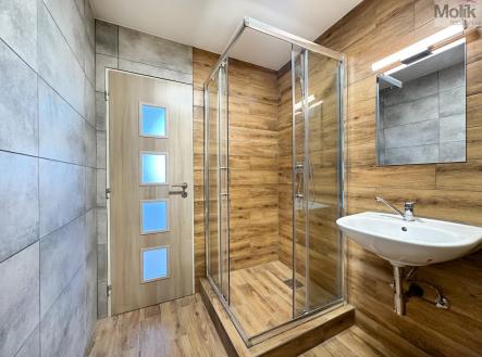 Pronájem bytu, 3+1, 66 m²