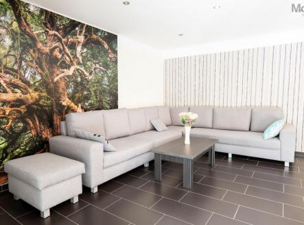 Prodej domu/vily, 500 m²