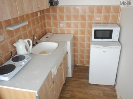 Pronájem bytu, 1+kk, 28 m²
