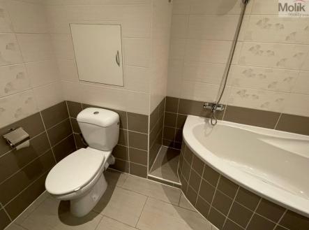 Pronájem bytu, 1+1, 37 m²