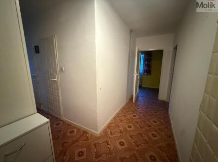 Obrázek WhatsApp, 2025-07-22 v 21.13.53_04d379fd.jpg