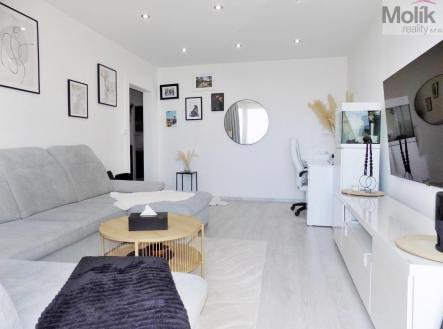 Prodej bytu, 3+1, 67 m²