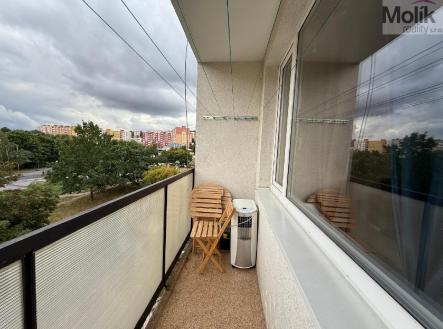 stažený soubor (8).jpg