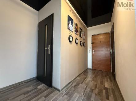 stažený soubor (15).jpg