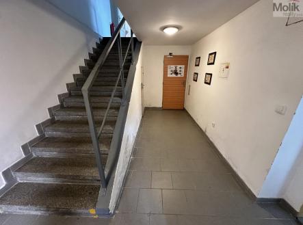 Pronájem výrobní prostor, 365 m²