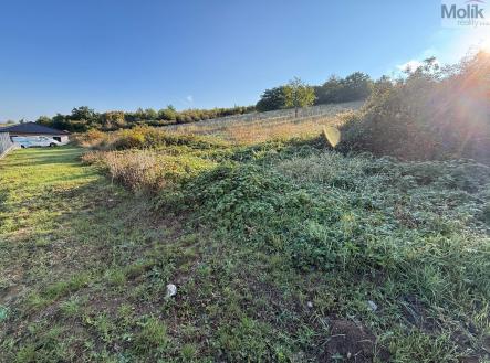 Prodej pozemku pro bydlení, 1 645 m²