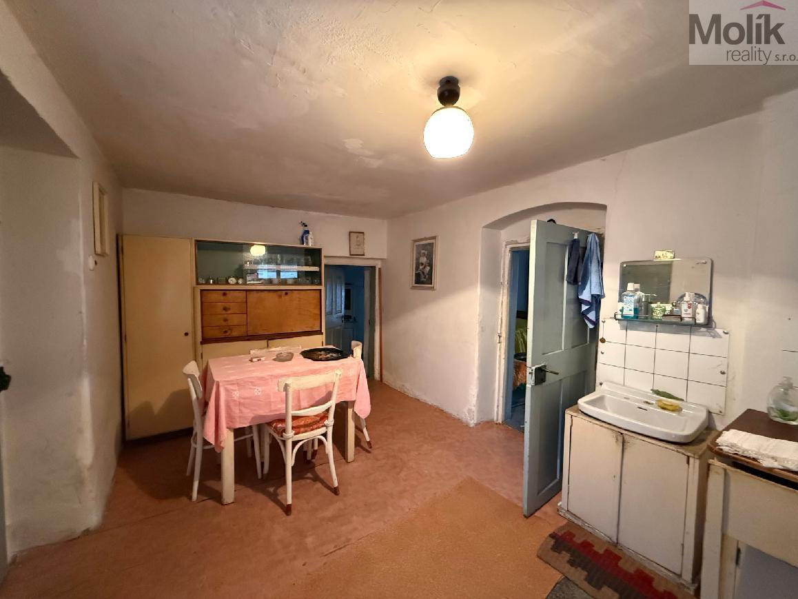 stažený soubor (1).jpg