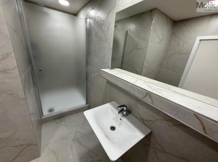 Prodej bytu, 3+1, 63 m² obrázek