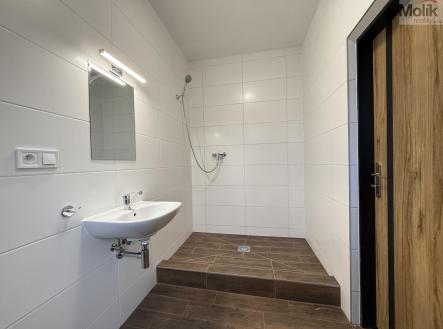 Pronájem bytu, 2+kk, 57 m²