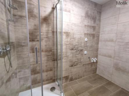 Pronájem bytu, 2+1, 53 m²