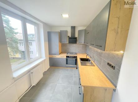 Pronájem bytu, 2+1, 56 m²