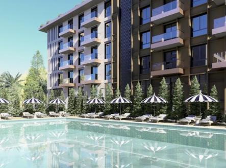 Orchid Casel de Paradise.