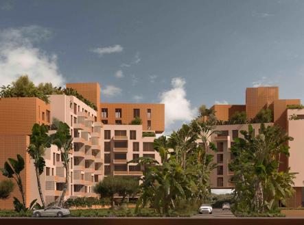 Orchid Casel de Paradise.