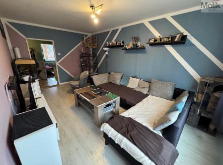 Prodej bytu, 3+1, 62 m²