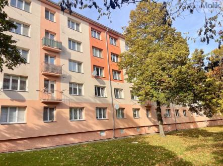 Pronájem bytu, 2+1, 55 m²