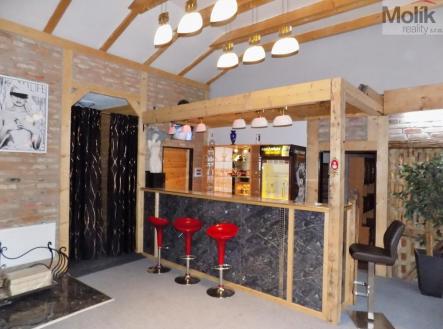 Prodej penzion, 325 m²