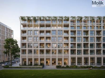 Orchid Casel de Paradise.