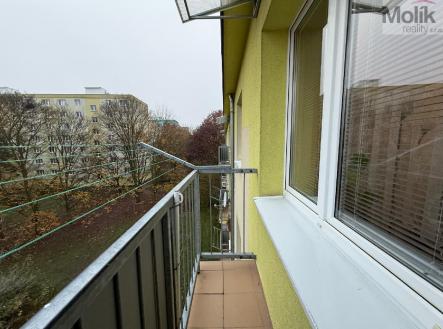 stažený soubor (15).jpg