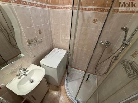 stažený soubor (18).jpg