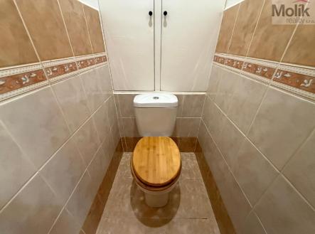 stažený soubor (21).jpg