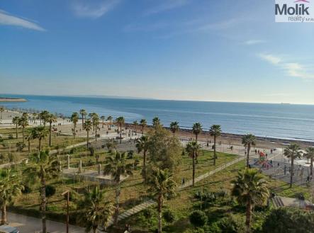 Orchid Casel de Paradise.