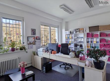 Pronájem kanceláře, 18 m²