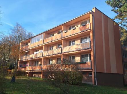 Prodej bytu, 2+kk, 44 m²