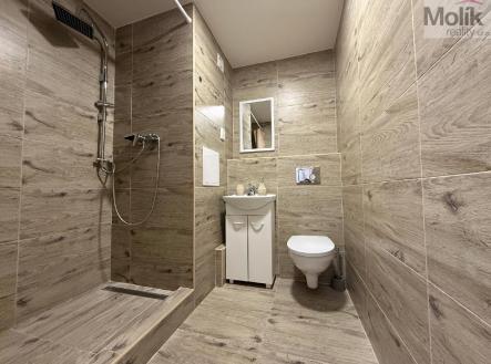 Prodej bytu, 1+1, 35 m²