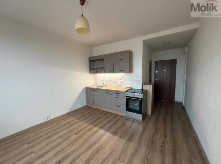 Prodej bytu, 1+1, 35 m²