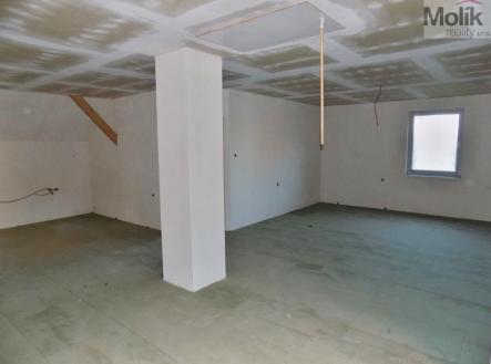 Prodej domu/vily, 359 m²