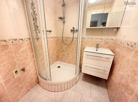 Pronájem bytu, 2+1, 52 m²