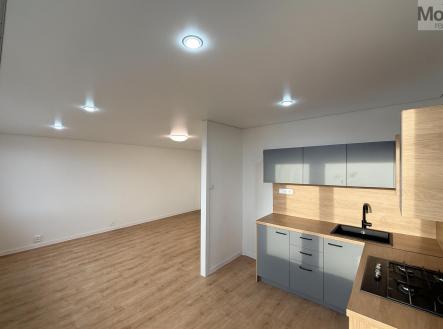 Prodej bytu, 3+1, 62 m²