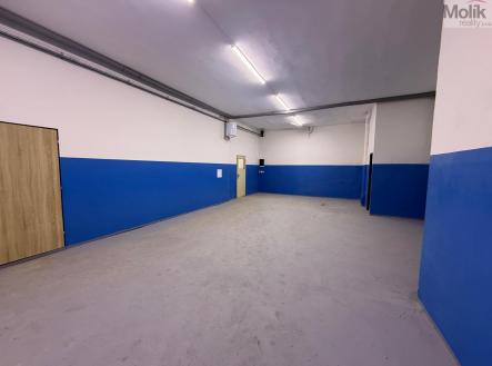 Pronájem skladovací prostor, 290 m²