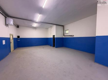 Pronájem skladovací prostor, 290 m²