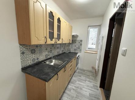 Pronájem bytu, 3+kk, 56 m²