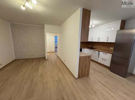 Pronájem bytu, 3+1, 68,8 m²