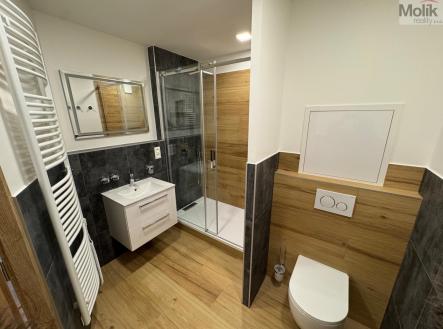 Pronájem bytu, 3+1, 68,8 m²