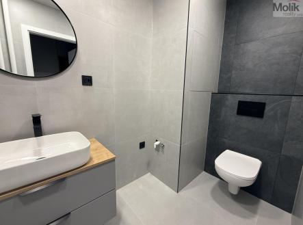 Pronájem bytu, 2+1, 54 m²