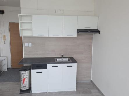 Pronájem bytu, 1+kk, 28 m²