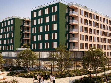 Orchid Casel de Paradise.