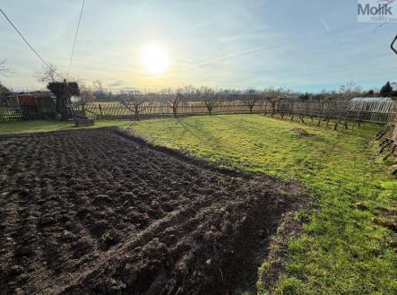 Prodej domu/vily, 310 m²