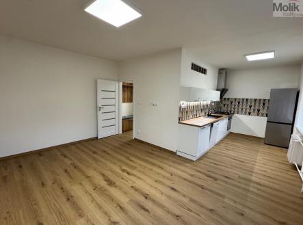 Pronájem bytu, 2+1, 53,5 m²