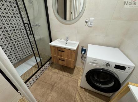 Pronájem bytu, 2+1, 53,5 m²