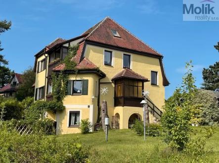 Orchid Casel de Paradise.