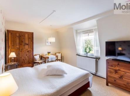 3f890015-8dc6-48f9-9f9c-167f041aed61 ve velké velikosti.jpeg