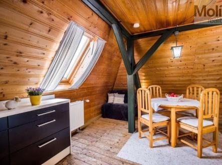 1c6fca84-f3b0-41b5-8d3b-9f7b34dddf17 ve velké velikosti.jpeg