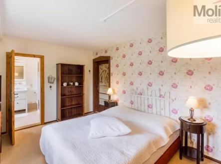 d8096708-5a7a-47dc-b832-3b395674c089 ve velké velikosti.jpeg