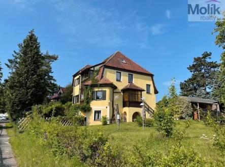 b978a5f0-c3d2-4d6d-be8a-89de614829fb ve velké velikosti.jpeg