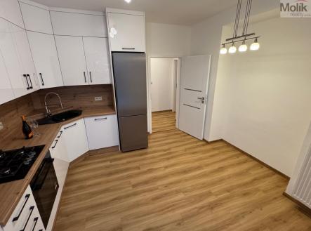 Pronájem bytu, 2+1, 54,6 m²