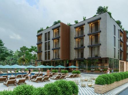 Orchid Casel de Paradise.